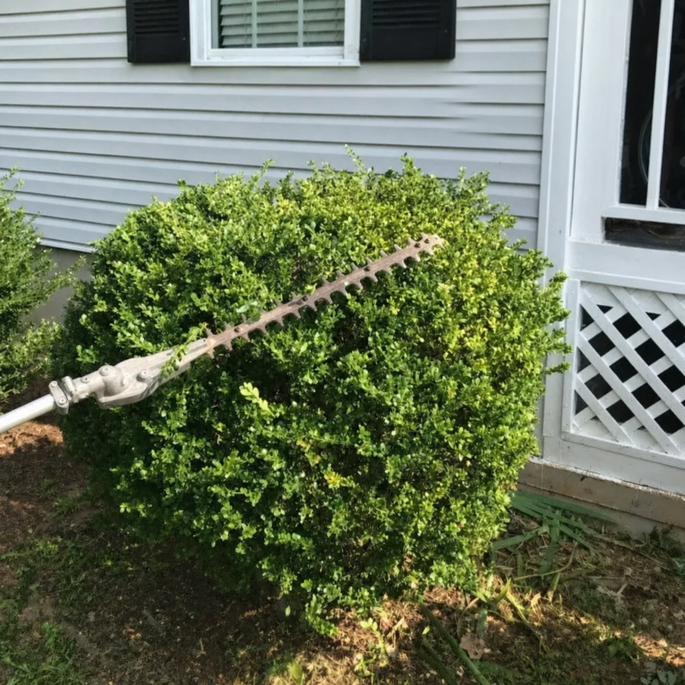 Hedge being professionally trimmed by E&D Landscaping