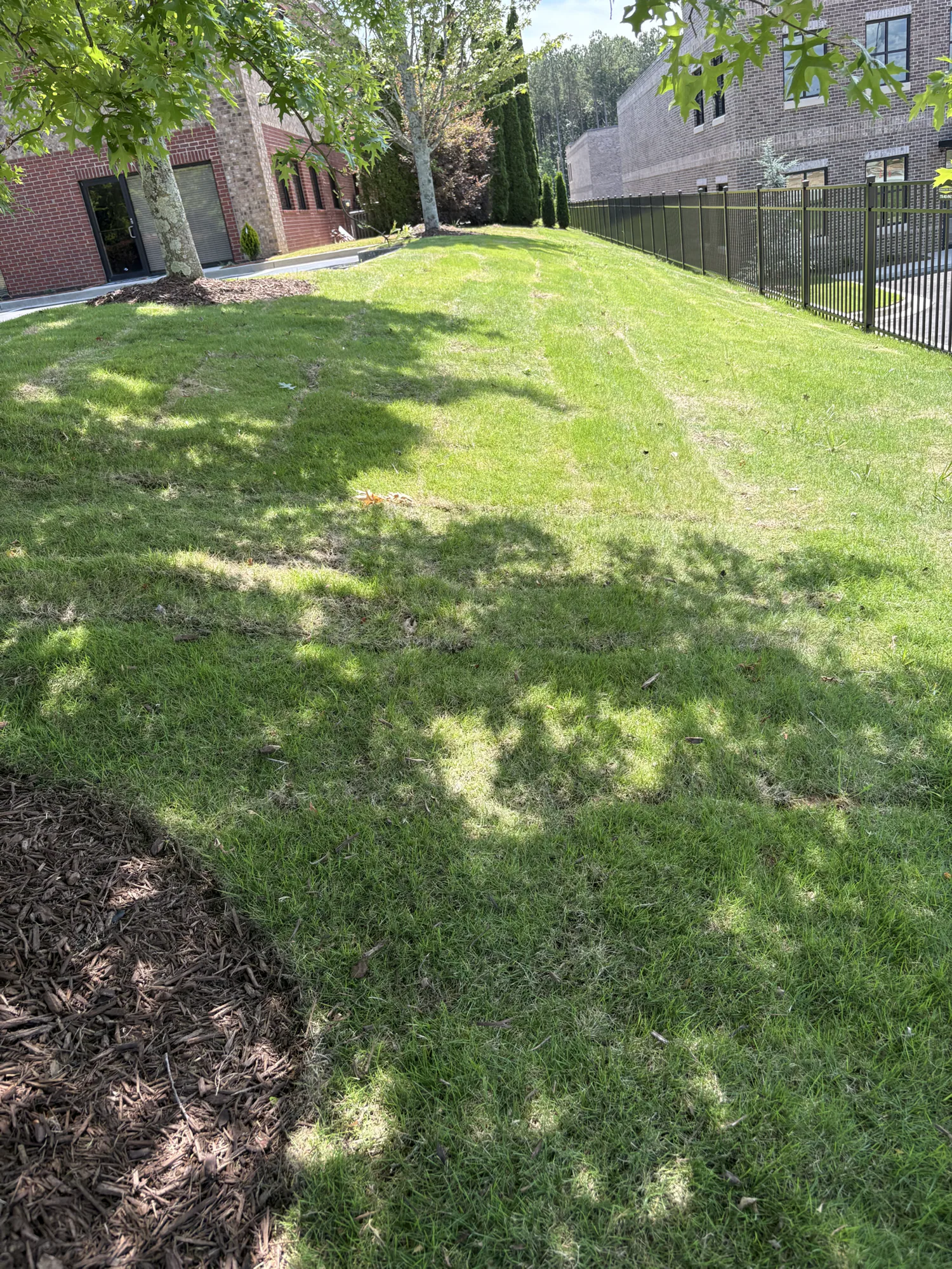 Sod installation completed by E&D Landscaping